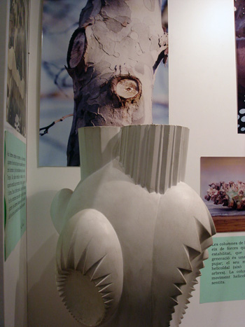 d0119763_465487.jpg