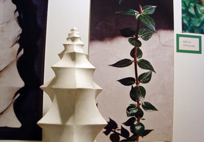 d0119763_474178.jpg