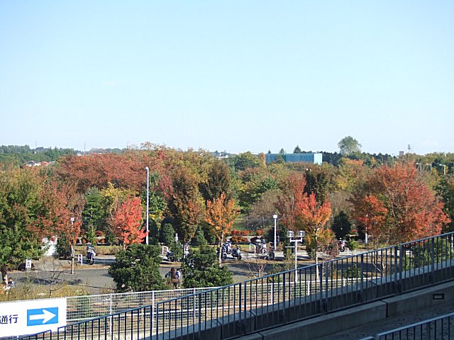 a0015766_20404366.jpg
