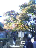 c0000967_19122725.jpg