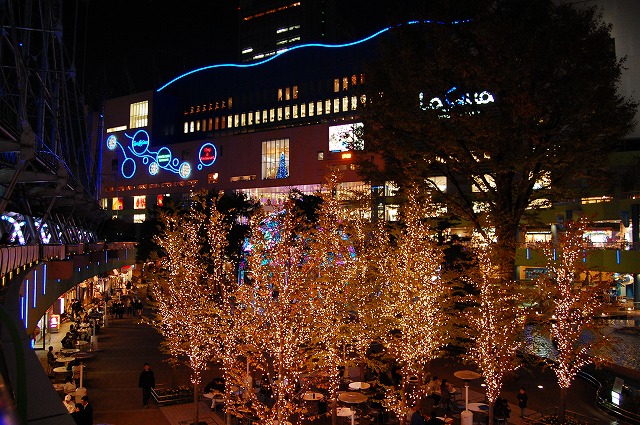 c0048667_2361069.jpg