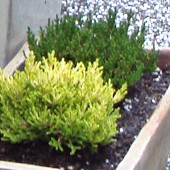 d0123969_0165092.jpg