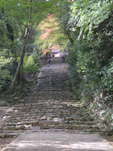 e0025073_20222631.jpg