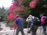 e0025073_20232189.jpg