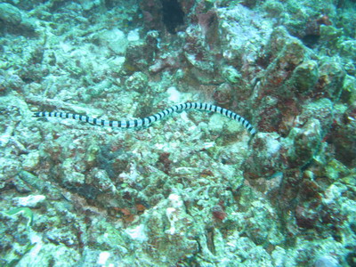 a0002177_20592753.jpg