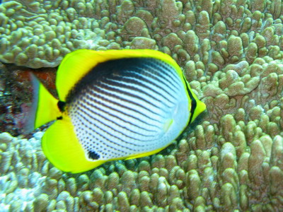 a0002177_20595042.jpg