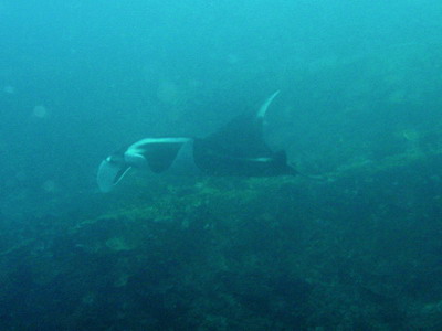 a0002177_2125192.jpg