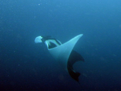 a0002177_2143290.jpg