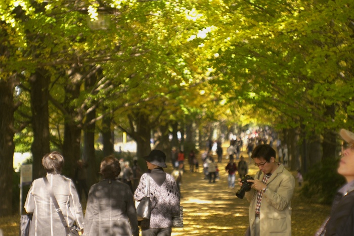 e0113977_21532670.jpg