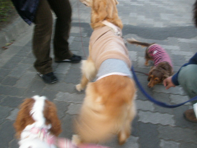 e0114977_1832781.jpg
