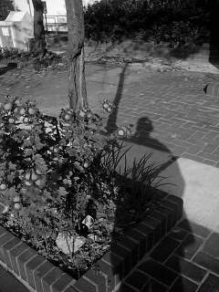 f0100480_16164028.jpg