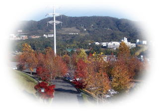 e0069481_1134535.jpg