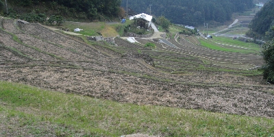 f0003283_1535997.jpg