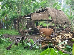 b0101284_12253387.jpg