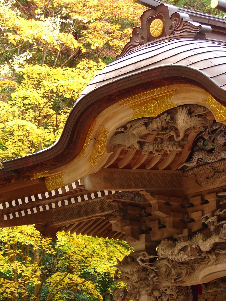 b0011185_234363.jpg
