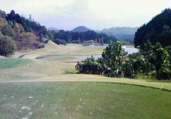 b0100489_19401511.jpg