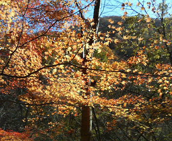 f0018790_18561979.jpg
