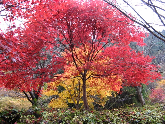 b0092694_17242949.jpg