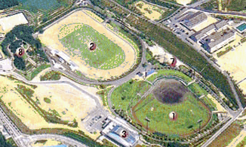 b0108100_20415527.gif