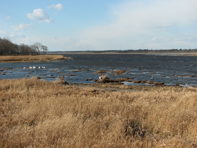 f0020302_2004721.jpg