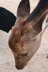 e0091804_20223098.jpg