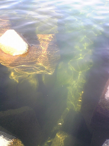 f0034007_22511074.jpg