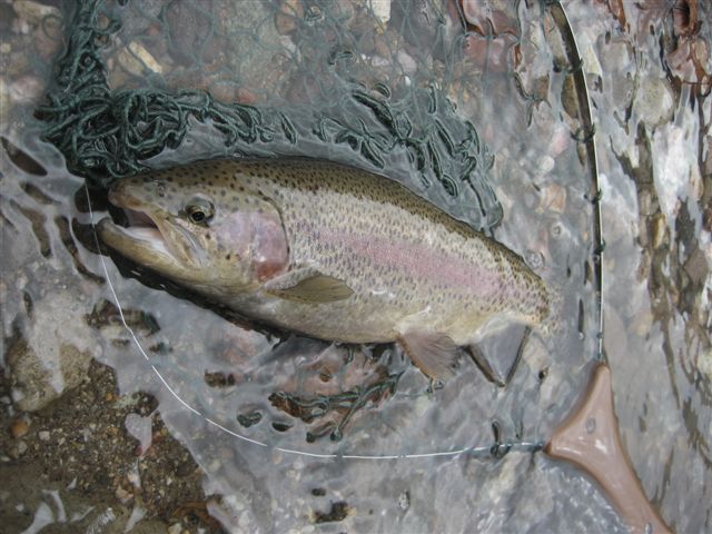 d0126708_236581.jpg