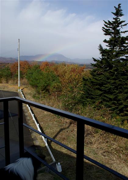 f0102308_1514513.jpg