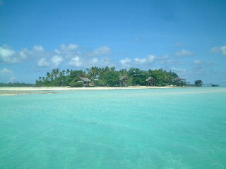 f0142717_23231085.jpg