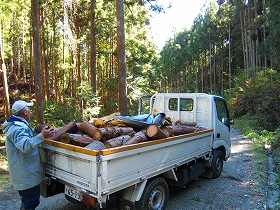 e0002820_21201366.jpg
