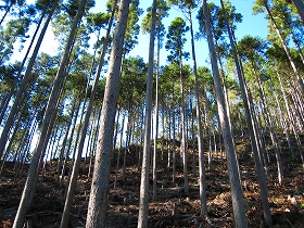 e0002820_2144849.jpg