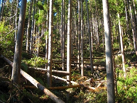 e0002820_2183262.jpg
