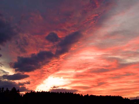 f0147025_1449505.jpg