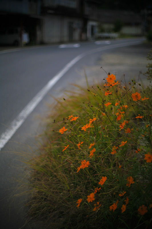 d0004832_20362938.jpg
