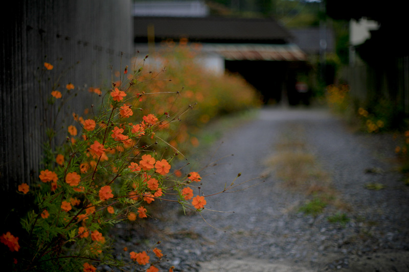 d0004832_20364680.jpg