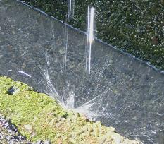 f0118332_1730476.jpg