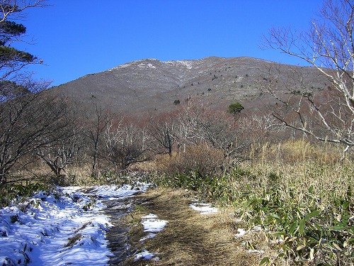 f0003138_15385486.jpg