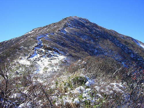 f0003138_15473683.jpg