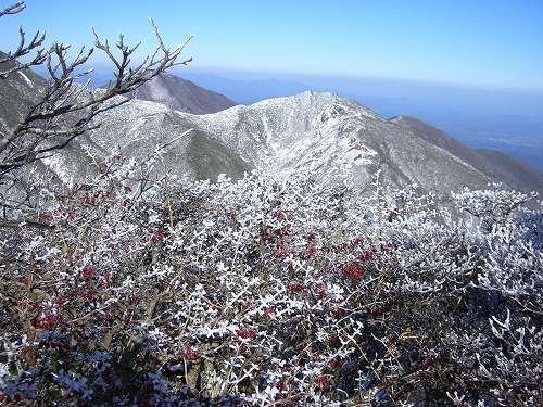 f0003138_15521153.jpg