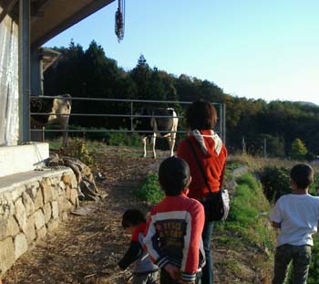 d0095541_20391147.jpg