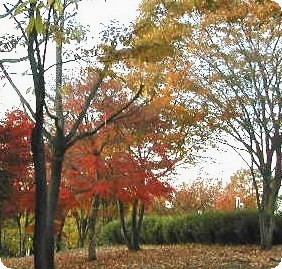f0096147_1925930.jpg