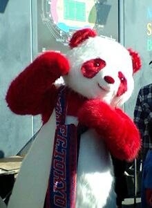 e0074253_17542814.jpg