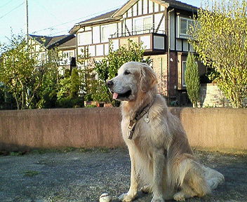 c0097558_18353192.jpg