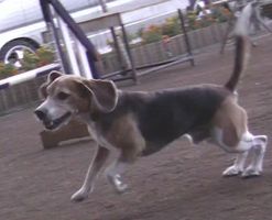 e0007060_21255323.jpg