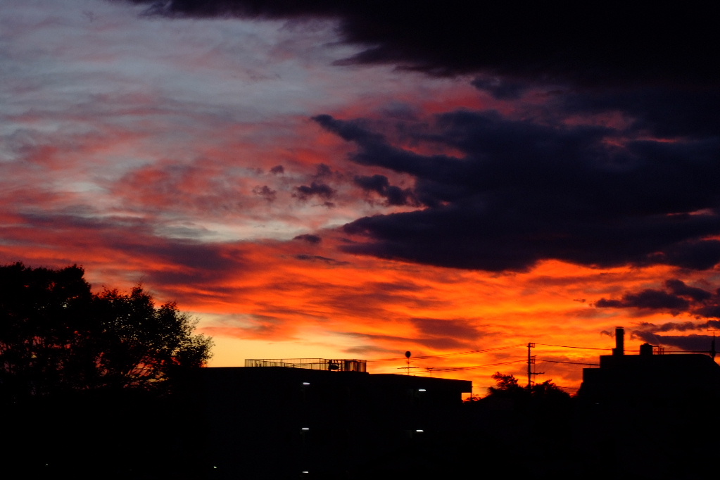 f0119863_14214693.jpg