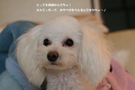 d0048067_22571029.jpg