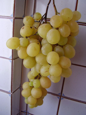 b0120269_20464799.jpg