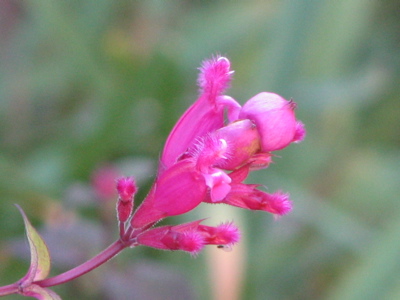 d0050472_15574567.jpg