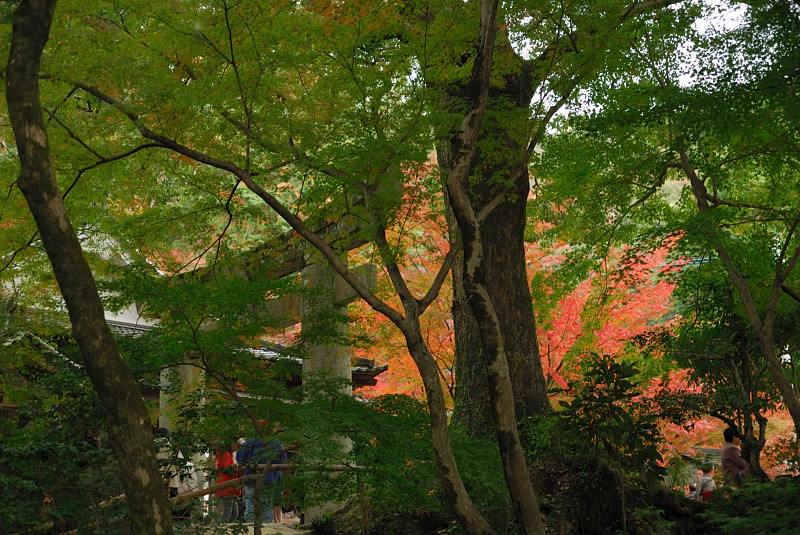 f0150672_19532068.jpg