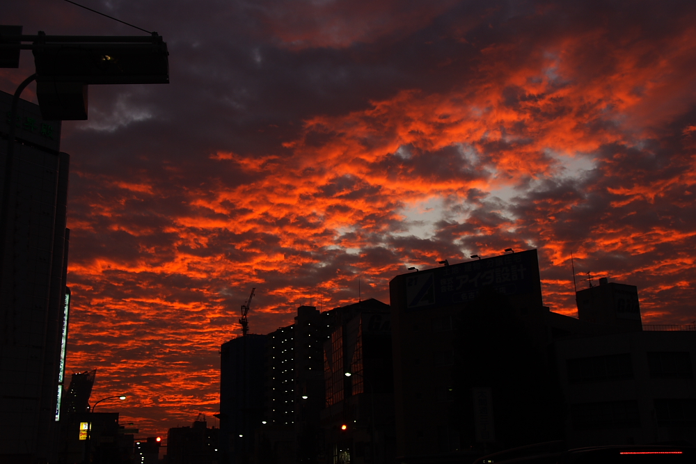 c0030874_1663947.jpg